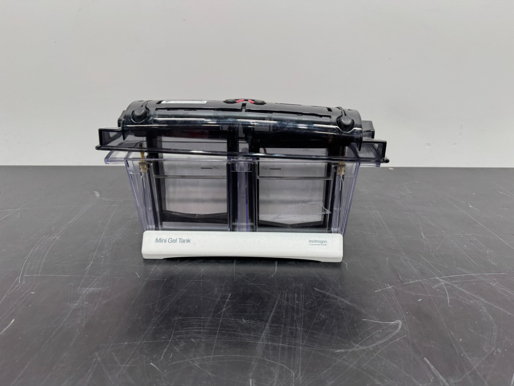 Image of Invitrogen Mini Gel Tank